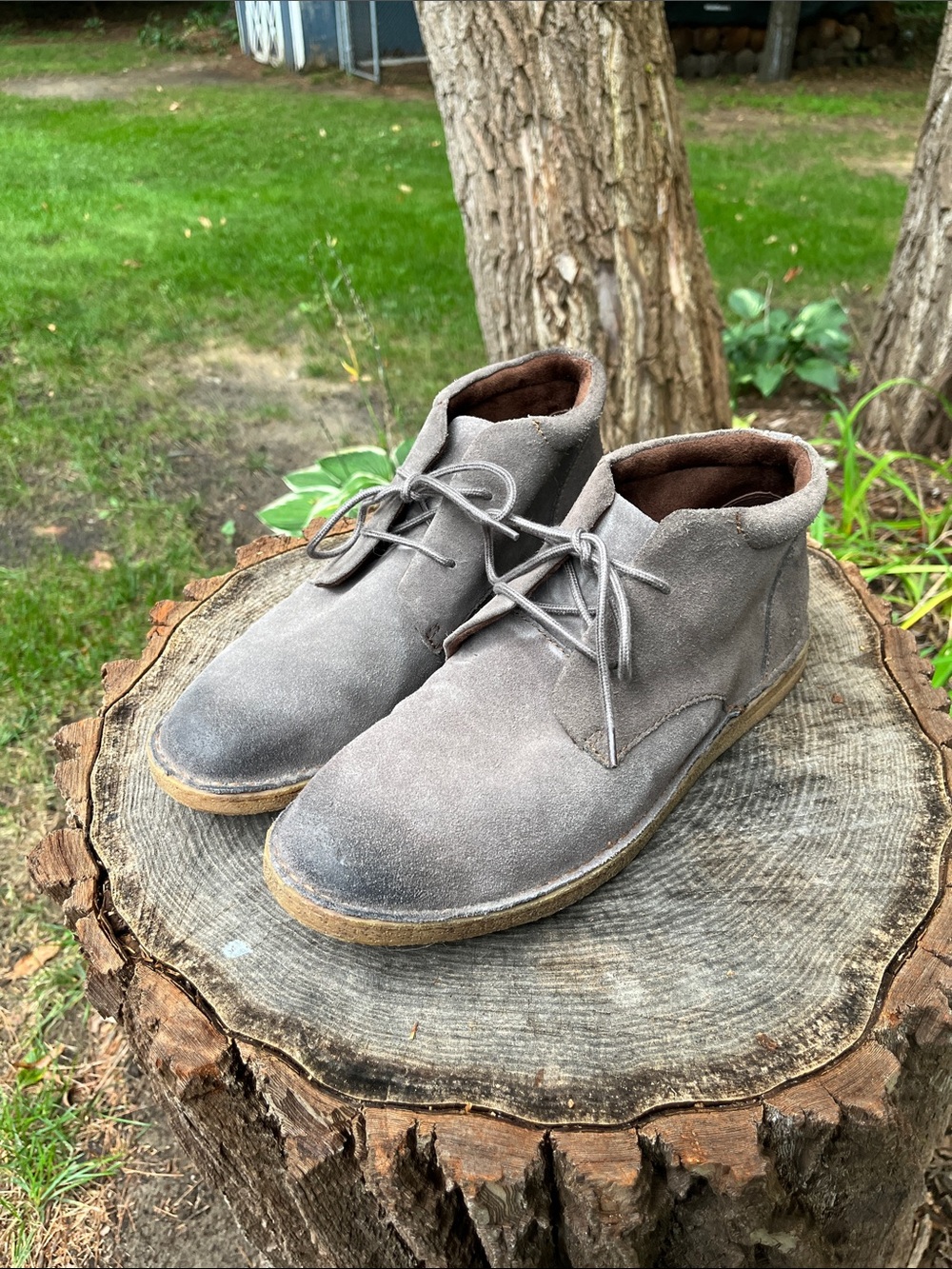 Born Men's Samson Suede Chukka Boots - Casual Lace-Up
